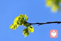 生命真正的自由，从不在于物质多么丰饶，更在于内心的安宁与丰盈。配图