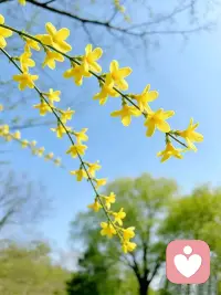 你不需要成为完美的人，只需要成为完整的自己。