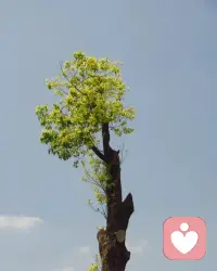 真正需要被看见的，根本不是施暴者内心有没有爱，而是那个被长期忽视、被反复伤害的孩子，他的创伤，是否终于被承认。

如果你发现自己总在替伤害你的人找理由，总在关系里缩小自己，那么你需要的不是再多一点宽容，而是重新建立主体位置。配图