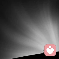 我们时常因为察觉到他人的愚蠢，而误认为自己很聪明，其实你我都没那么聪明，只是愚蠢的领域不同……配图