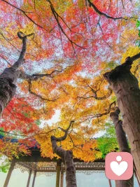 择善而交，择暖而栖，去靠近托举和滋养你的人。最治愈你的，是带给你平静的人；最能给你力量的，是让你心安的人。人这一辈子，一定要和舒服的人在一起。配图