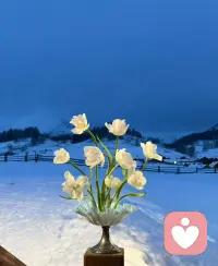 “和他在同一个空间里几个小时，
我整个人都慢下来了。”

不是知识的冲击，
是一个人存在品质的感染。

那种稳定、慈悲、清晰，
是会传递的。

但愿我能带给每一位来访同样的
感受。因为爱——配图