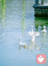 幸福就是爱，别无其他。配图