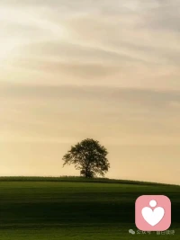 野鹅
   ——玛丽•奥利弗


你不必善良。
不必跪行
一百英里，穿过荒凉的忏悔。
你只要让你温柔的身体爱它所爱的。

告诉我，你的绝望，我也会告诉你我的。
同时世界继续。
同时太阳和鹅卵石般清澈的雨珠
正在穿越风景，
越过大草原，幽深的树林，
越过山脉以及河流。

同时野鹅，在澄净蔚蓝的高空，
正再次飞回家乡。

无论你是谁，无论多么孤独，
世界为你提供了想象，
召唤你，像野鹅那样，严厉并充满激情——
反复宣告
你在万物中的位置。配图