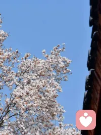 让孩子承担适合年龄的责任，是对他们的尊重。配图