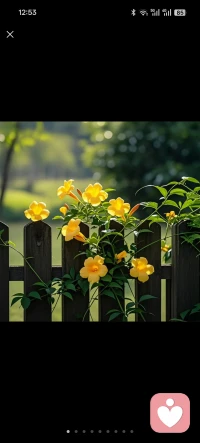 真正的力量来自内在的柔软。配图