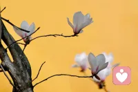 一个人如能让自己经常维持像孩子一般纯洁的心灵，用乐观的心情做事，用善良的心肠待人，光明坦白，他的人生一定比别人快乐得多。
                                 ——罗曼•罗兰配图