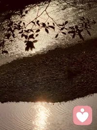 如果一个孩子在幼年时期，经常处于被否定，贬低，忽视之中，他所接触到的世界本身就是扭曲的。一个人最初的自我认知，情绪调节方式，信任感，几乎都来源于早期的家庭互动。如果他幼年时所获得的教材,本身就是混乱和矛盾的，那么他的认知结构，也往往会有明显的裂缝。配图