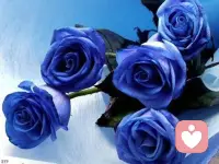 夫妻关系是家庭的基石，爱孩子之前，先爱你的伴侣。配图