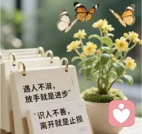 指责是受伤者的哭泣，讨好是恐惧者的面具。