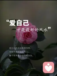 如果是因为寂寞而爱上一个人，那么最终会因为爱而寂寞。