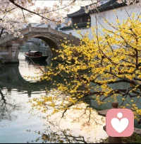 真正让人崩溃的关系，不是一次激烈的争吵，而是日复一日，让你在潜意识里形成一种认知：我不够好，我不配被善待，我必须妥协、忍让、失去自己，才能维持这段关系。配图