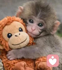 关系中的伤痕，只能在关系中修复。配图