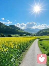 为自己扫墓    

历经了无数次的轮回，          
更新过无数次的身体；          
生命在每一次的交替中，          
死死生生，
生生死死，         
死去又生来，
生来又死去……         
 
生命，
本质是一念无明，
是妄想的延续。       
一念起一念生，
一念灭一念死，
生死其实是在每一个瞬间，   
在每一个起心动念里。       
所以，
活着也是在死，
 死了也是在活  ，      
当处出生，随处灭尽，
唯心现量，刹那不住 ，
没有停滞，没有间隙……          

清明节，          
我们会为死去的亡人扫墓， 
寄托哀思，悼念奠祭。         
其实我们更应该每天为自己扫墓，          
直到扫空一身“墓气”：
扫破无明妄想，
扫除生死业力。

什么是清明？
清明的真正含义是让我们清清明明，
不在无明中妄执沉迷，
认清生死之实相，
明了生命之真义 ，   
不执迷于五蕴假合的身心，          
清明显通自性，
彻底超越“自己”。

🙏南无阿弥陀佛配图