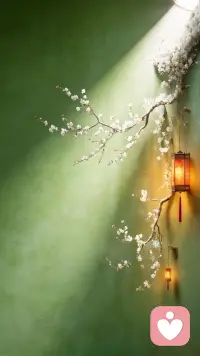 真正的爱，不是对关系的死死控制，而是对生命无常的全然接纳。你可以倾尽真心，也可以从容放手，这不是放弃，是一个人最高级的心理成熟。配图