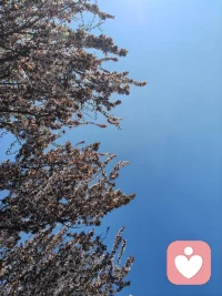 在每一个重男轻女的家庭中：女儿是用来分担痛苦的，儿子是用来分享幸福的。配图
