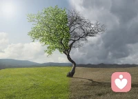 见识越广，分化越好。所谓分化，是人格逐渐摆脱早年与父母形成的出厂设置，变得更为丰富多元。实现途径包括：建立友谊、发展良好师生关系、通过阅读与书中人物交流、观影接触不同视角，以及走出家门与各类人群互动。这些经历如同将不同子人格融入自我，让你离原始状态越来越远。
                                                          ——曾奇峰