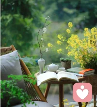 风抵达的每处角落，都散落着生活的诗意。配图