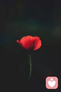 人生所有的痛苦，都在呼唤觉醒；所有的遇见，都为渡你清醒。能被人唤醒，是莫大的福报；肯主动清醒，才是一生的修行。配图