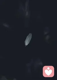 一旦习惯了服从，就会忘记自由的滋味。
                                                    ——乔治•奥威尔