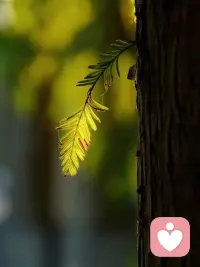 欲望是无限的，而精力和金钱是有限的，与其被物欲裹挟，不如减少内耗，专注于真正重要的事情，活得简单而通透。配图
