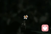 做过孩子，才能真正成为大人。虐待创造忠诚，爱创造自由。配图