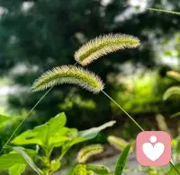 沟通先稳住自身情绪，情绪化表达，注定消解沟通价值。