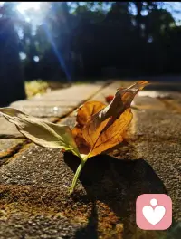 人与人的相逢，都是内心的镜像。不断吸引同一种人，不是命运的刁难，而是潜意识送来的提醒。所有相遇，都是为了让我们向内探索，看见未曾疗愈的自己。