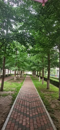 【今日分享】
人與人之間，
因為緣分的安排，相遇，
因為心靈的共鳴，相伴。
曾經(jīng)以為，
相遇就是永久，
相伴就是一生。
事實卻是，
并非所有相遇都能長久，
并非所有相伴都能永恒。
有些人，走著走著，就散了，
有些情，處著處著，就淡了
保持適當?shù)木嚯x，
留有各自的空間，
才能更好地理解對方，
才能更好地珍惜彼此。
才不會造成雙方的壓抑。
相互陪伴，卻不過度依賴，
親疏有度，也不互相干涉，
濃淡相宜，不越界；
遠近隨意，不打擾；
聚散隨緣，不強求。
這才是最舒服的相處狀態(tài)。配圖