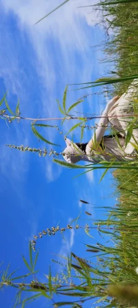 當你看到的是幸福的時候，你根本看不到痛苦！
當你看到的都是痛苦的時候你根本看不到幸福！
當一個人看不到幸福的時候，怎么會感恩！
當你下定決心的時候，天地都會給你讓路！
你的人生幸不幸福，由你自己決定！
人生應該學會正面解讀，正面解讀一切！[太陽][太陽]配圖
