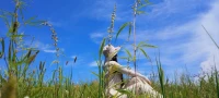你知道你自己，你就不是你自己！
你不知道自己，所以你是你自己！
更所以你到底，知不知道你自己？
我就是我，不一樣的煙火！配圖