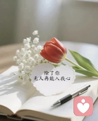 “除了你，無人再能入我心”的決絕，并非排拒整個世界，而是我的內(nèi)心世界，早已被你完全填滿，再無一絲縫隙可以容納他人。
祝福看到的每一位七夕快樂，珍惜彼此擁有的每一分每一秒！配圖