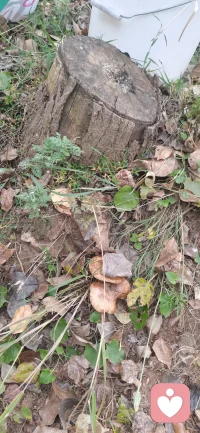 5號—16號故地重游，不一樣的收獲！配圖