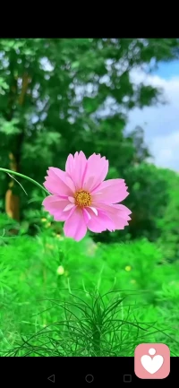 快乐其实很简单，是清晨的第一缕阳光，
是雨后的清新空气，是和喜欢的人一起虚度的时光，
是用心感受生活的点滴美好。🌹