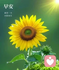 ??一個人最好的狀態，就是不糾結過往，不虛度當下、不憂慮未來。帶著一份灑脫釋然，更能體會生活的美好。愿你照顧好心情，調整好狀態，帶著微笑奔跑，陽光自在前方。?配圖