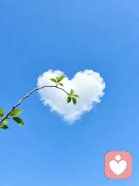 心態勝過年齡，微笑勝過顏值，健康勝過金錢，三觀勝過城府。無論你經歷了什么，記得帶上善良和感恩，向陽而生，努力向上。在人生的每個清晨，都能笑著出發。