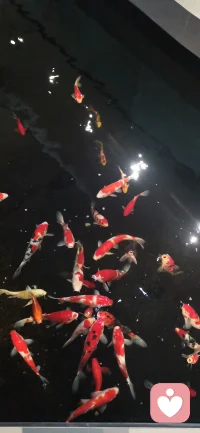 我们都渴望寻到一片静土，将得与失的优虑安放！
生命这次旅行，如四季中的春有百花，秋有月，夏有凉风冬有雪，若无闲事挂心头，便是人间好时节！
我们只能用一颗平常心，在四季轮回中，找到自己归属感！
在人生的每一个阶段，都要扮演不同的角色，还要思考如何为后来铺路。每个人的生活都是一部未完待续的史诗。其中的高潮低谷便构成了独特的韵律。
我们该细品每一情的感动并去享受，最后汇聚成为生命中最绚烂的风景！要用平淡从容的心态去对待自己的每次闪光点！
珍惜当下，在未来的日子里，寻一处安安稳稳的角落，不为别的，只为能与自己对话，倾听内心的声音，感受生命的律动！不念过往，不畏将来，只在此情此景中安然自得，静待时间流转中享受到属于自己的最幸福生活中每时每刻！