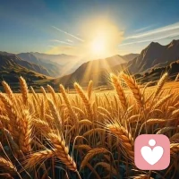 “止”在上面加一横，就是“正”。
这一横，是生而为人的良心，也是做人的底线。
古语曾说：“人无德不立，业无德不兴，国无德不威。”
无论是个人立足、事业兴盛，还是国家立威，德行都是至关重要的。
我们都是普通的人，不一定要做大人物，但一定得做正直善良的人。
正直善良与贫贱无关，也不在于学识高低，而存在于每个向善的普通人心底。
正直善良，并非遥不可及的宏大目标，有时候，它就是“勿以善小而不为”。
于细微处见真章，做自己认为对的事，守好一颗正直善良的心，是积蓄福报的必要前提，也是做人的顶级智慧。
心中有正气、为人处世坦坦荡荡，才能在漫漫人生路上一路奔向美好。配图