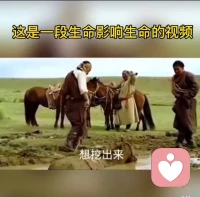 成长最好的救赎，
是唤醒孩子内在力量！
一段骏马陷泥潭的视频引人深思——
马儿被困泥沼，马群围立一旁陪伴鼓舞，没有强行拉扯，最终马儿凭着自身毅力奋力挣扎，靠自己挣脱困境、重获新生。
反观家庭教育，很多父母总想包办包办难题，替孩子扫清坎坷。
殊不知父母如同围在身边的马群，只能做好陪伴、引领与唤醒，无法代替孩子跨过人生泥潭。
孩子成长难免迷茫受挫、迷失方向，教练与家长的作用，是点燃自信、唤醒潜能，激发孩子对成长的渴望。
但世上没有永远的靠山，没有人能一辈子庇护孩子。
真正的成长，源于自我觉知。
唯有孩子发自内心想要突破，学会独立面对困境，实现自我救赎，才能挖掘超乎想象的内在潜能，从容走好往后人生路。
与所有家长共勉！