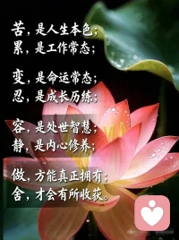 一花一世界，一叶一菩提！