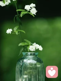 有效果比有道理更重要。配图