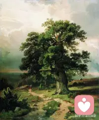 做一棵树，倾听你的所有故事
 
我想做一棵树，扎根一方土地，不言不语，静静伫立，温柔倾听世间所有细碎又滚烫的故事。
 
没有步履匆匆的奔波，没有嘈杂纷乱的心事。我守着一方晴空，朝迎晨露，暮送晚风，让粗壮的根系深扎泥土，让舒展的枝叶拥抱四季。春来抽芽吐绿，夏日枝繁叶茂，秋来落叶纷飞，冬日静默沉淀，岁岁年年，安稳且从容。
 
我愿做最温柔的倾听者。清晨，听上学的孩童叽叽喳喳，诉说对世界的好奇与欢喜；午后，听奔波的行人轻声叹息，接住他们藏在心底的疲惫与委屈；傍晚，听归家的旅人喃喃自语，收纳他们一路的风尘与期许。
 
人们总习惯把心事藏在心底，不愿与人言说。而我始终静默伫立，任由清风穿过枝叶，温柔安抚每一颗孤独的心。有人靠在我的树干流泪，泪水浸湿脚下泥土，我便轻轻晃动枝叶，为他拂去心头阴霾；有人坐在树荫下畅谈理想，字句滚烫，我便舒展枝丫，为他撑起一片温柔天地。
 
我从不评判对错，不追问过往，不催促结局。所有的欢喜与遗憾、热烈与落寞、迷茫与勇敢，我都静静收纳，藏在年轮里，藏在清风中，藏在岁岁年年的光阴里。
 
人间烟火流转，人间故事绵长。我甘愿做一棵树，守一方天地，渡万般情绪。以岁月为笺，以枝叶为怀，默默伫立，温柔守候，倾听你所有的心事，接纳你所有的故事，岁岁无恙，始终如一。配图