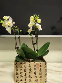 今一天待了三帮切，
​感谢各位亲人的光临！团团圆圆，圆圆满满！[玫瑰][玫瑰][玫瑰]
​
​爱你们，爱你们，爱你们！[拥抱][拥抱][拥抱][爱心][爱心][爱心]
​
​新的一年，我们都会健健康康，平平安安，顺顺利利，快快乐乐！[太阳][太阳][太阳]配图