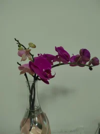 今一天待了三帮切，
​感谢各位亲人的光临！团团圆圆，圆圆满满！[玫瑰][玫瑰][玫瑰]
​
​爱你们，爱你们，爱你们！[拥抱][拥抱][拥抱][爱心][爱心][爱心]
​
​新的一年，我们都会健健康康，平平安安，顺顺利利，快快乐乐！[太阳][太阳][太阳]配图