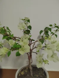今一天待了三帮切，
​感谢各位亲人的光临！团团圆圆，圆圆满满！[玫瑰][玫瑰][玫瑰]
​
​爱你们，爱你们，爱你们！[拥抱][拥抱][拥抱][爱心][爱心][爱心]
​
​新的一年，我们都会健健康康，平平安安，顺顺利利，快快乐乐！[太阳][太阳][太阳]配图