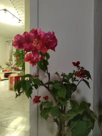 今一天待了三帮切，
​感谢各位亲人的光临！团团圆圆，圆圆满满！[玫瑰][玫瑰][玫瑰]
​
​爱你们，爱你们，爱你们！[拥抱][拥抱][拥抱][爱心][爱心][爱心]
​
​新的一年，我们都会健健康康，平平安安，顺顺利利，快快乐乐！[太阳][太阳][太阳]配图