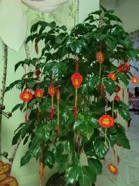 今一天待了三帮切，
​感谢各位亲人的光临！团团圆圆，圆圆满满！[玫瑰][玫瑰][玫瑰]
​
​爱你们，爱你们，爱你们！[拥抱][拥抱][拥抱][爱心][爱心][爱心]
​
​新的一年，我们都会健健康康，平平安安，顺顺利利，快快乐乐！[太阳][太阳][太阳]配图