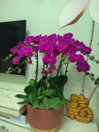 今一天待了三帮切，
​感谢各位亲人的光临！团团圆圆，圆圆满满！[玫瑰][玫瑰][玫瑰]
​
​爱你们，爱你们，爱你们！[拥抱][拥抱][拥抱][爱心][爱心][爱心]
​
​新的一年，我们都会健健康康，平平安安，顺顺利利，快快乐乐！[太阳][太阳][太阳]配图