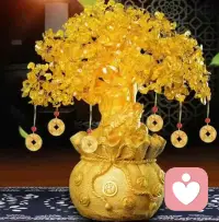 愿这棵发财树成为你年底不利财富运势的转折，一个好的缘起，助力你财气充沛、财源滚滚！ ​​​配图