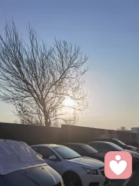 满满能量的一天配图